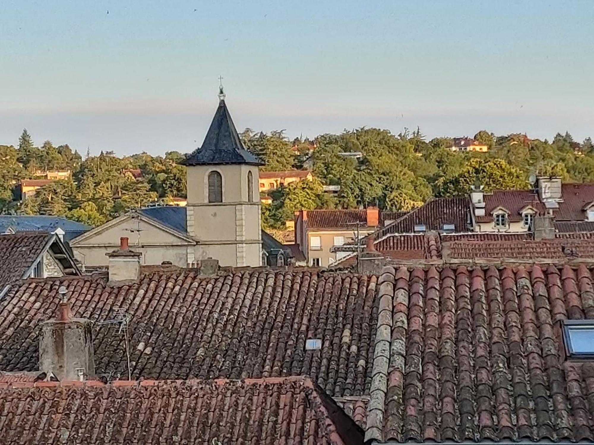Le Saint-Georges Διαμέρισμα Villefranche-de-Rouergue Δωμάτιο φωτογραφία